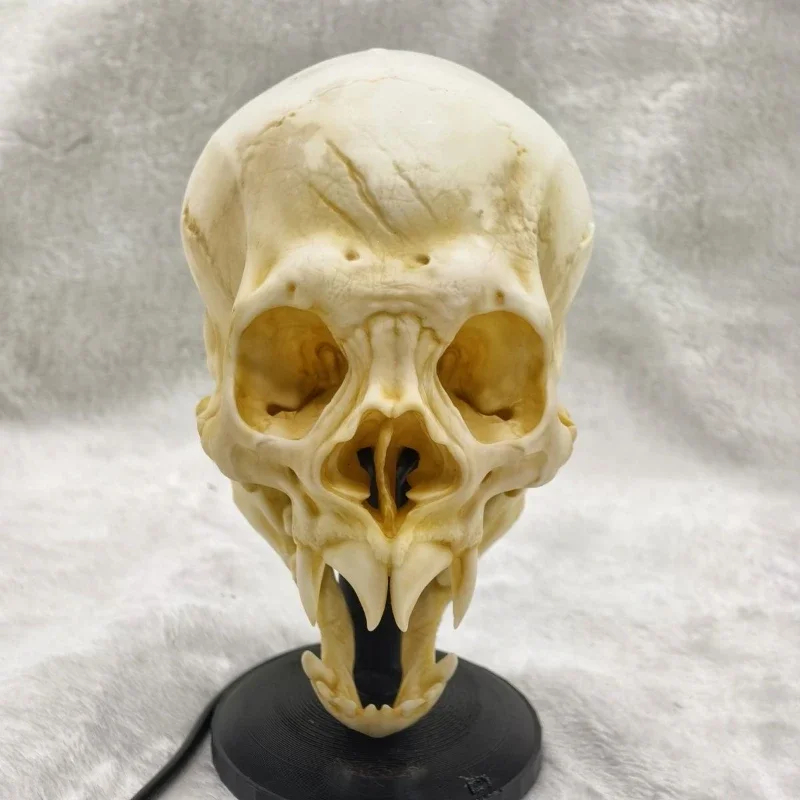 Featured niche hand-painted skull night light ornament Chinese mainland handmade statue original