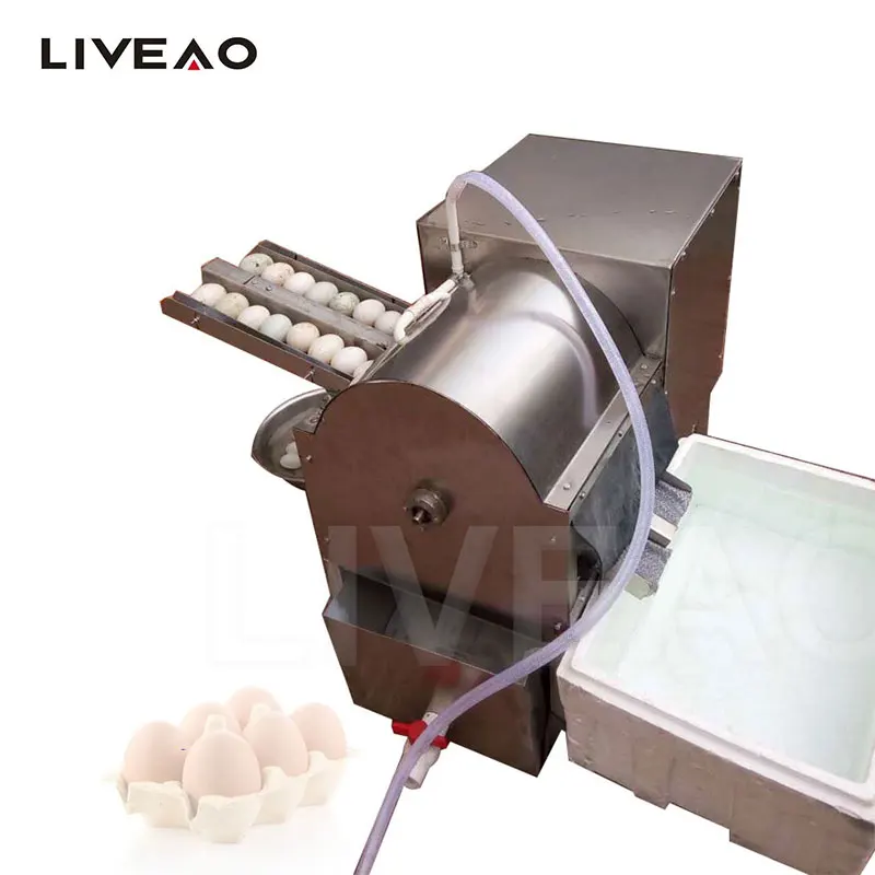 4000 Pcs/h Goose Egg Washing Processing Cleaning Machine Wash Egg Machine