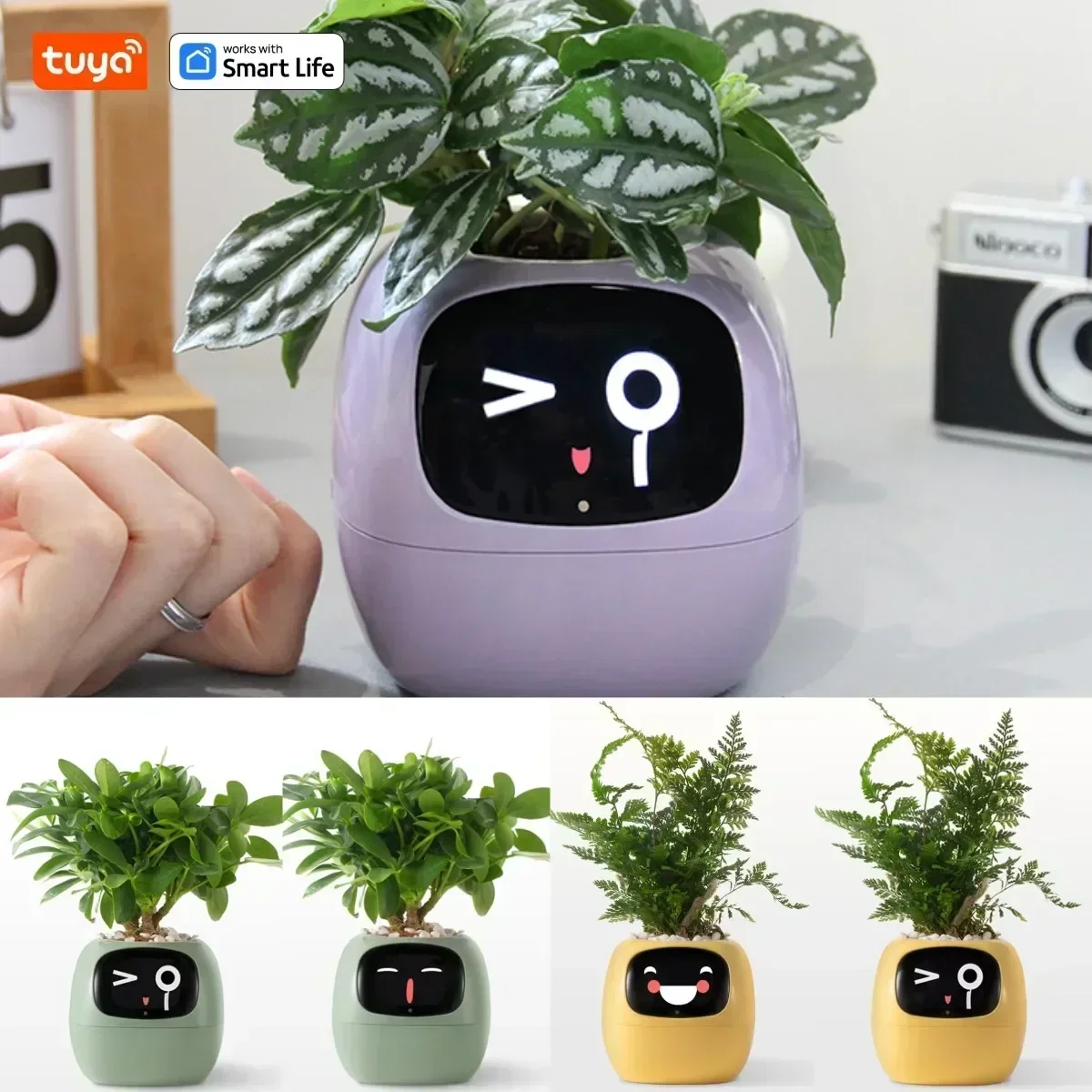 Smart Planter,Endless Fun Over 49 Rich Expressions,7 smart sensors,AI Chips Make Raising Plants Easy and Fun hamster supplies