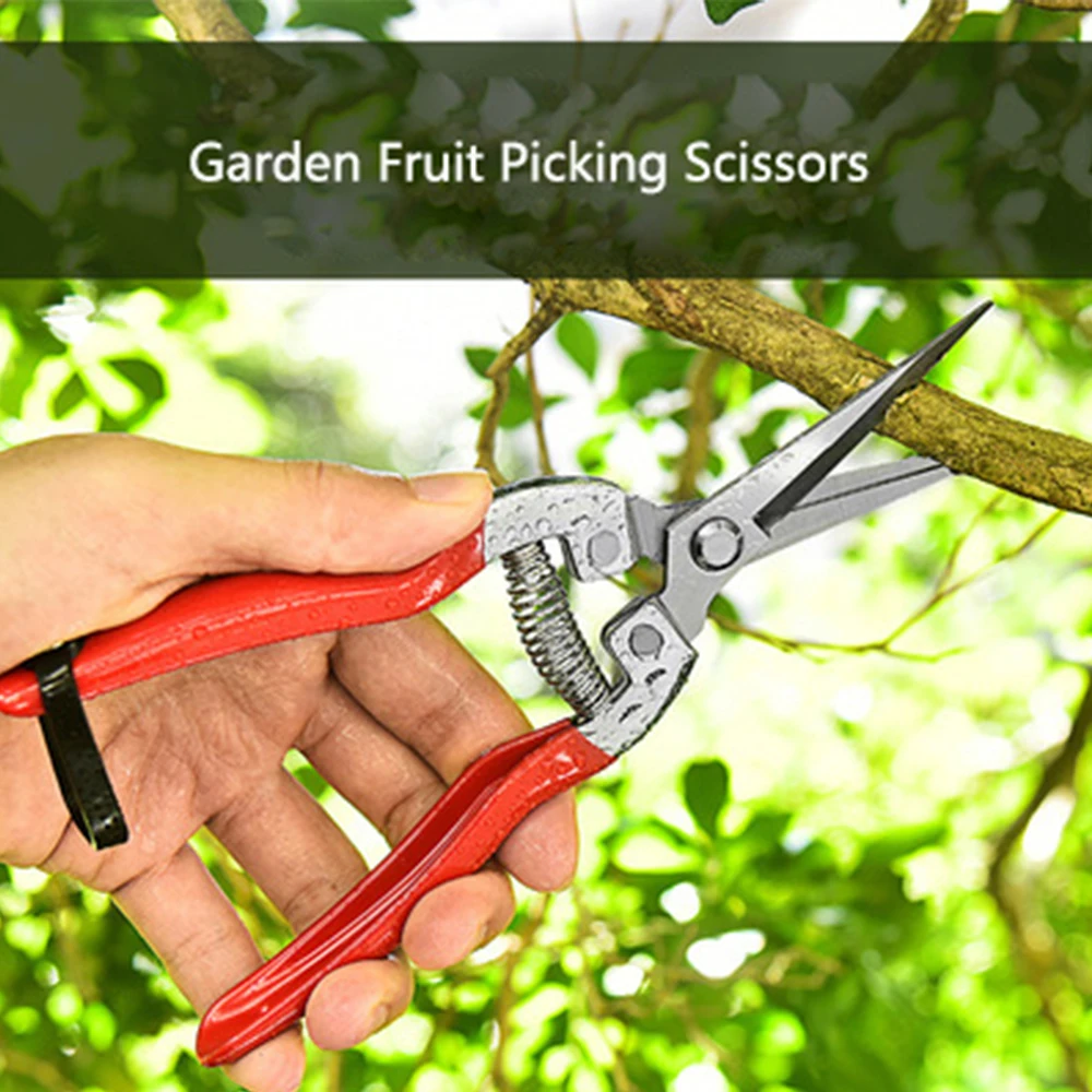 Gardening Hand Pruner Garden Scissors Pruning Shears Cutter Pruning Snips Leaf Trimmer Straight Florist Scissor Tool For Plants