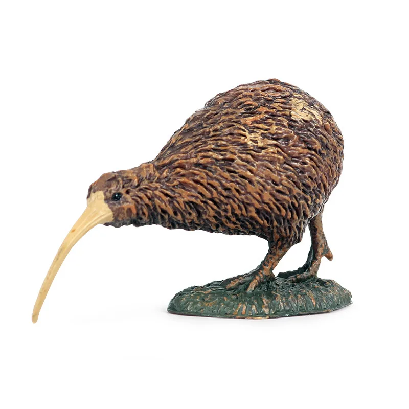 Children's solid bird simulation animal model toys, wild plastic animals, birds, kiwi ornaments