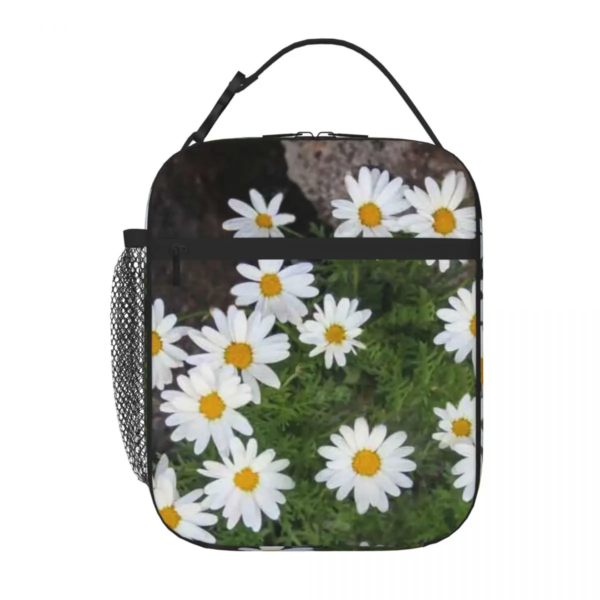 Bestselling Daisies On The Rocks Neutral Tone Bento Bag Bus Trip Large Lunch Bag