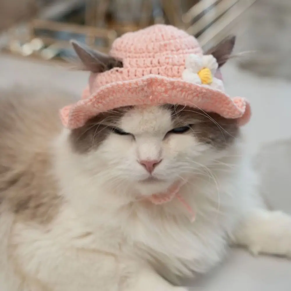 Cute Pet Hat Handmade Knitted Flower Cat Hat Funny Cospaly Headgear Party Photo Shoot Props Decoration Cat Accessories