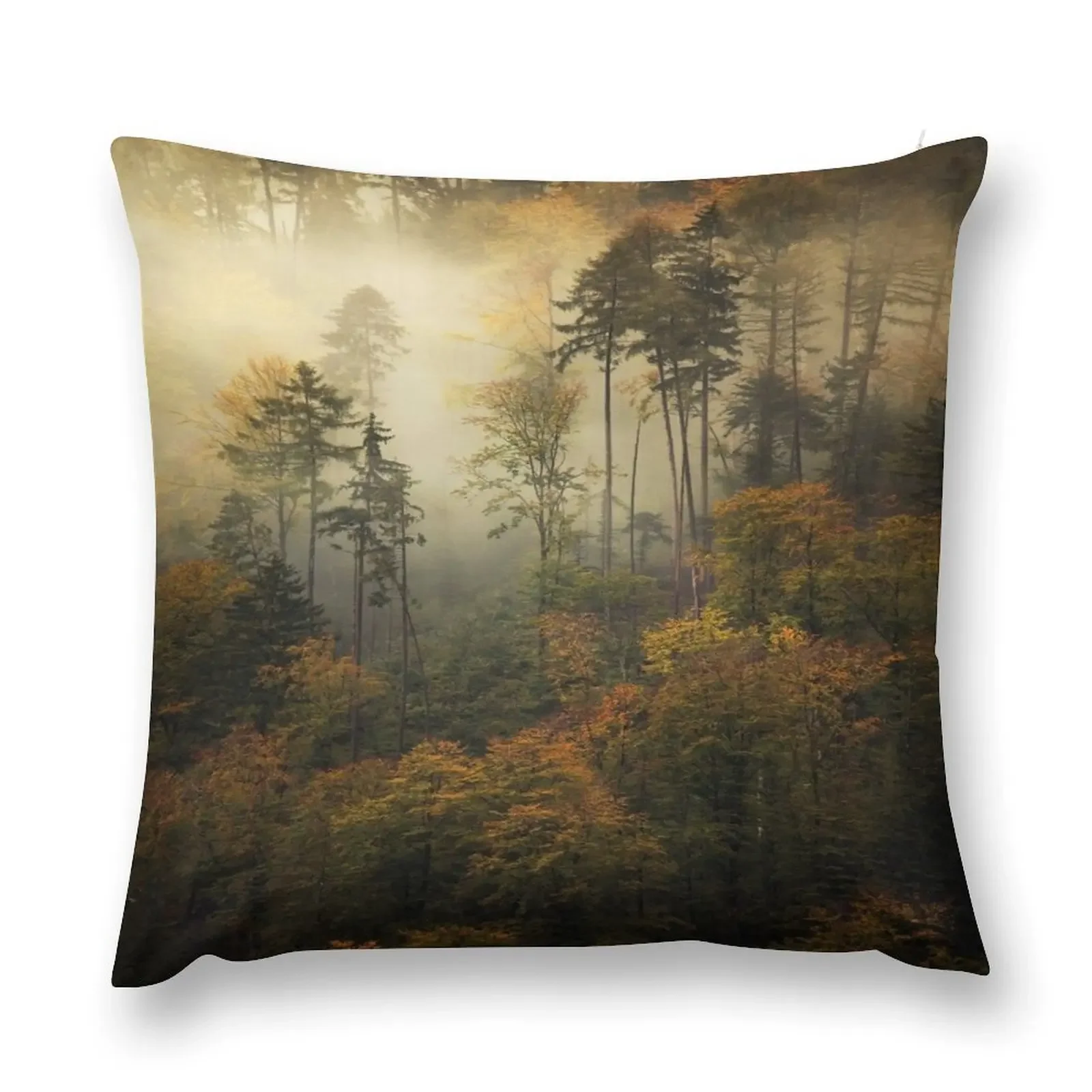 

autumn Throw Pillow Christmas Pillow Cases Cushion Child pillow