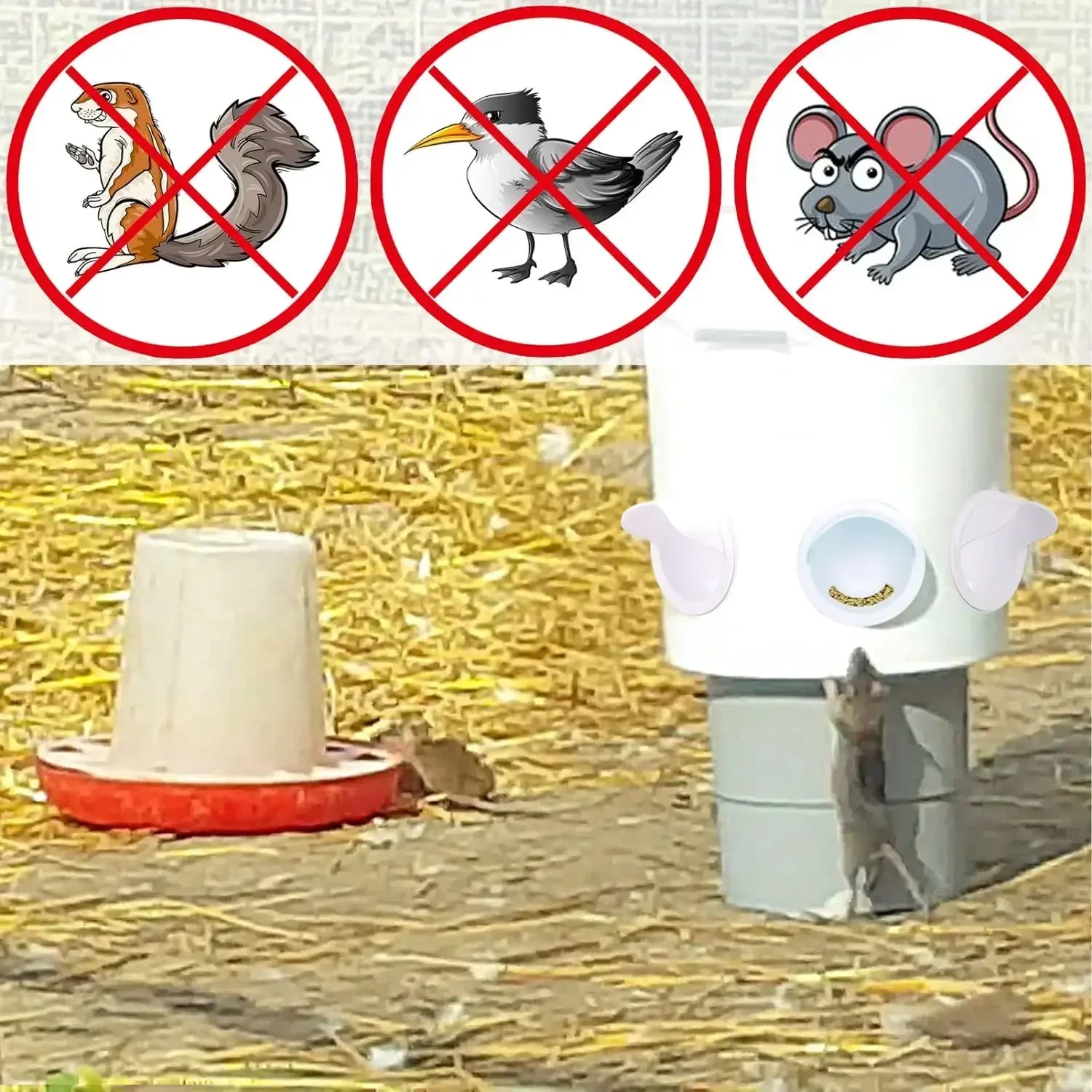 Poultry feeder and waterer with rodent-proof cover, 6 connectors, 6 chicken water cups and hole opener, poultry feeding kit