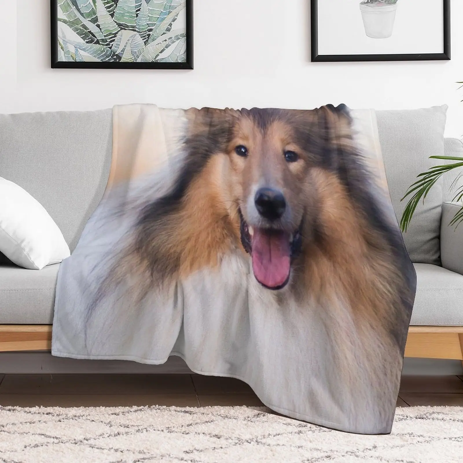 Rough Coated Collie Photo Throw Blanket Sofa Throw Winter beds blankets and throws Fashion Sofas Blankets