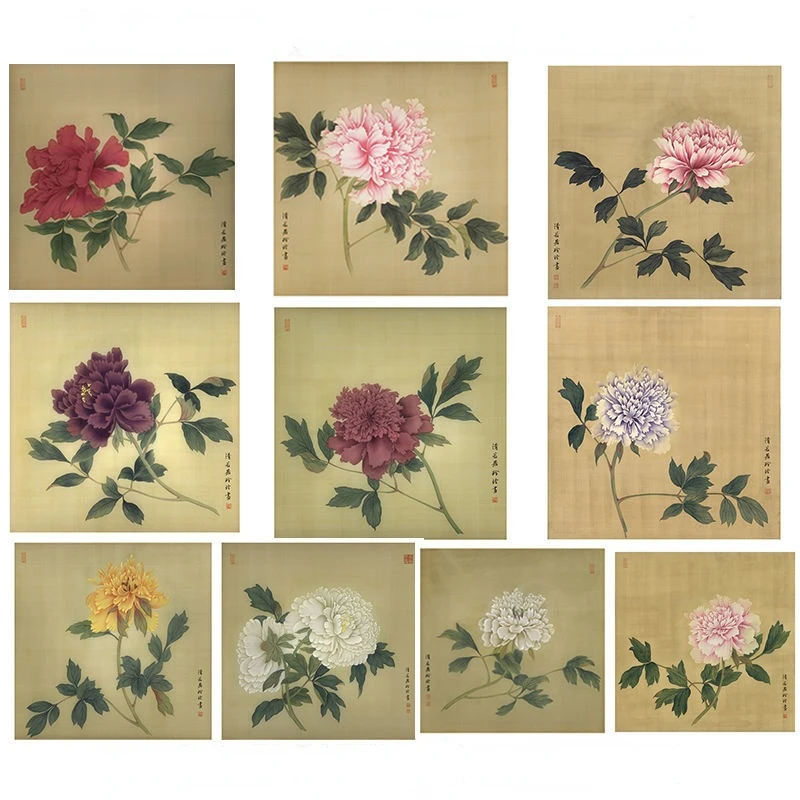 Traditional Chinese Painting Peony Line Draft Paper Meticulous Painting Print Line Drawing Manuscript with Coloring Picture