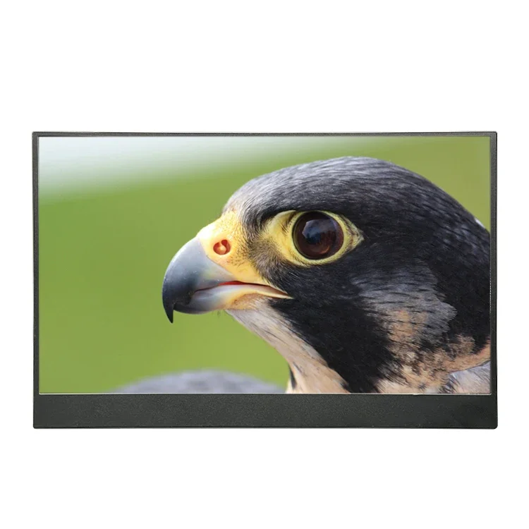 Fabrik Großhandel 15,6 Zoll Touchscreen Tragbarer Monitor 1920x1080 USB Typ-C HDM Eingang
