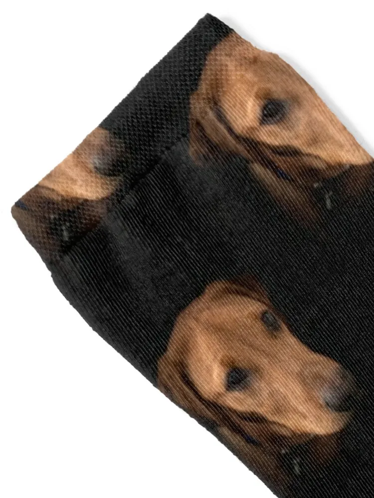 Fox Red Labrador - Dexter Socks gift essential sports and leisure anti slip football Socks Men's Women's