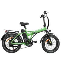 BAOLUJIE DZ-2031 Folding 20 inch Fat Tire Electric Bicycle 48V13AH Battery 750W motor mountain beach snow Electric bike