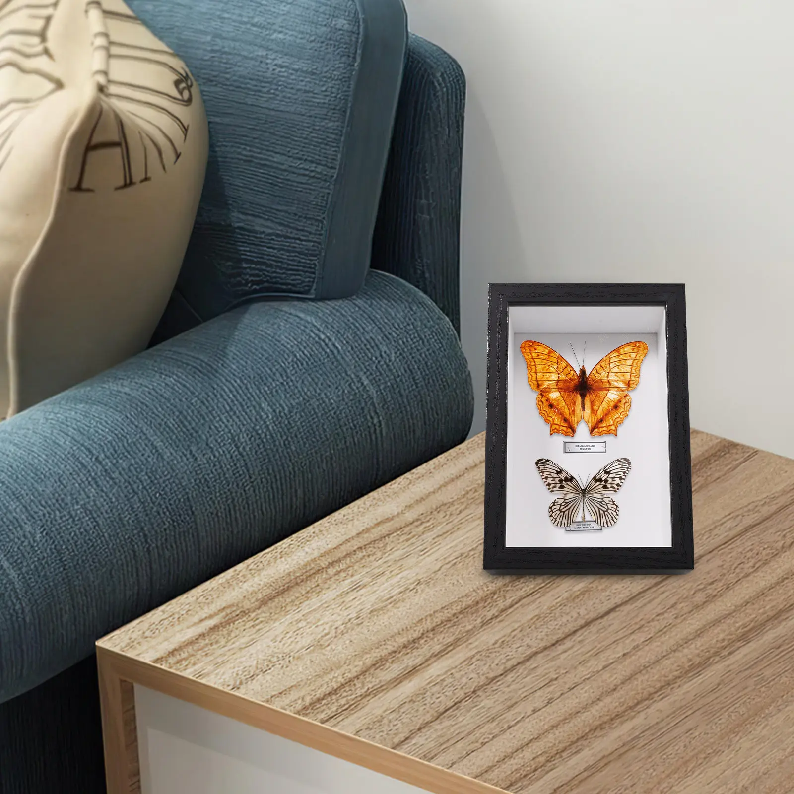 Rustic Handmade Black Wooden Insect Specimen Display Frame Glass Window Photo Keepsake Shadow Wooden Display Frame