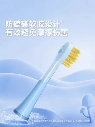 USB/110V/220V 성인용 자동 양치 기능을 갖춘 고품질 음파 전동 칫솔