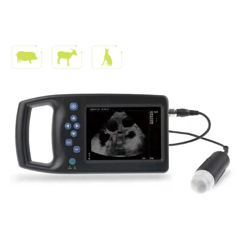 

M6 mechanical scanning veterinary ultrasound for pigs, sheep and dogs