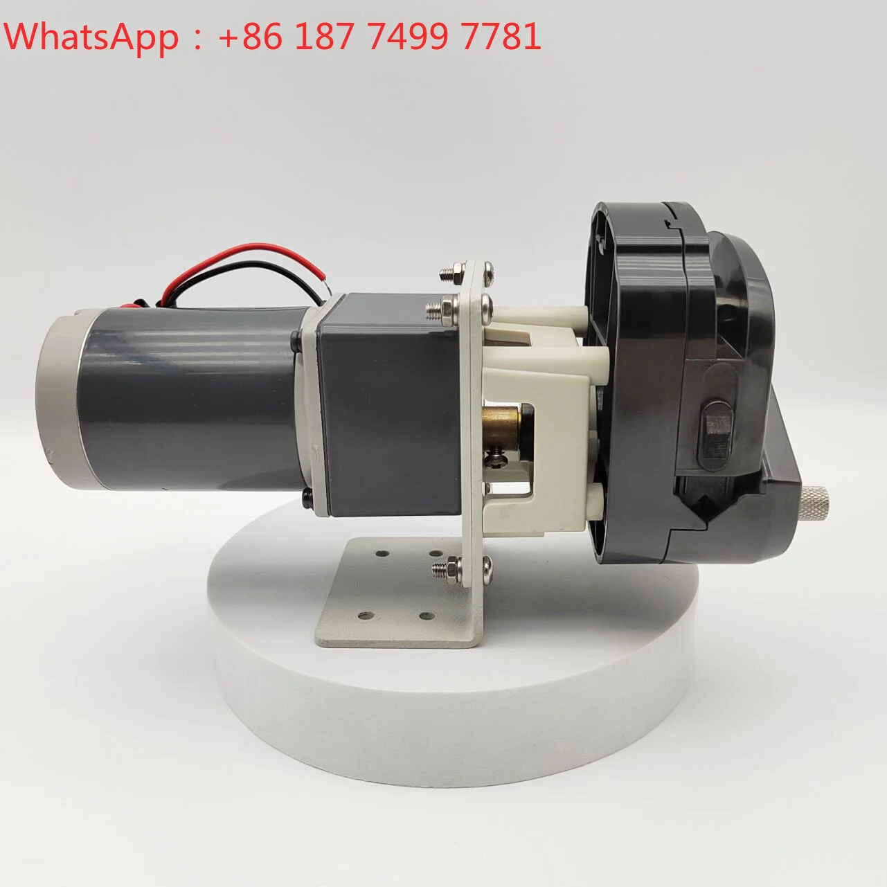 12V DC Stainless Steel Simple Operation Peristaltic Dosing Pump 4mm Outlet Size