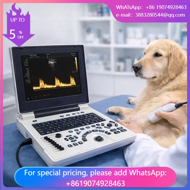 Healthcare 3D 2D Function Vet Ultrasound With Probe Electric Best Price Portable Laptop Veterinary Ultrasound Scanner