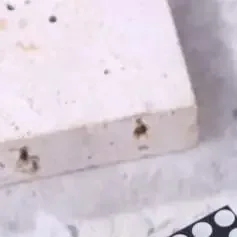 1PC MAX7219 Dot Matrix Module LED Module Display Module Support Cascading Control MCU Control Driver