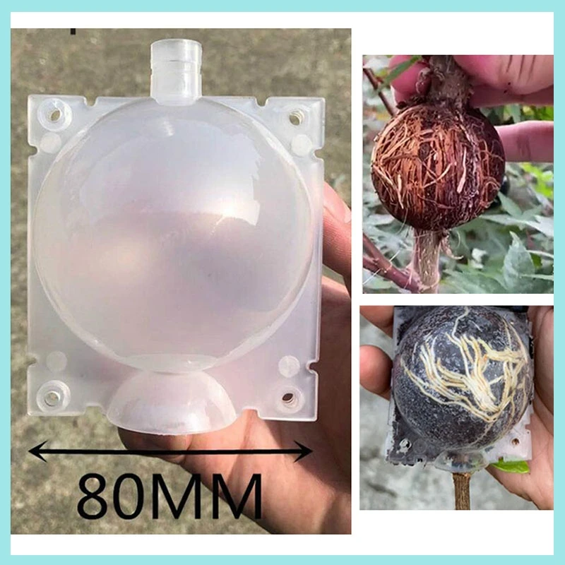 5pcs 8cm Plant Rooting Device Grow Box High Pressure Gardening Plant Ball Breeding Case for Garden Grafting Rooting Box B2