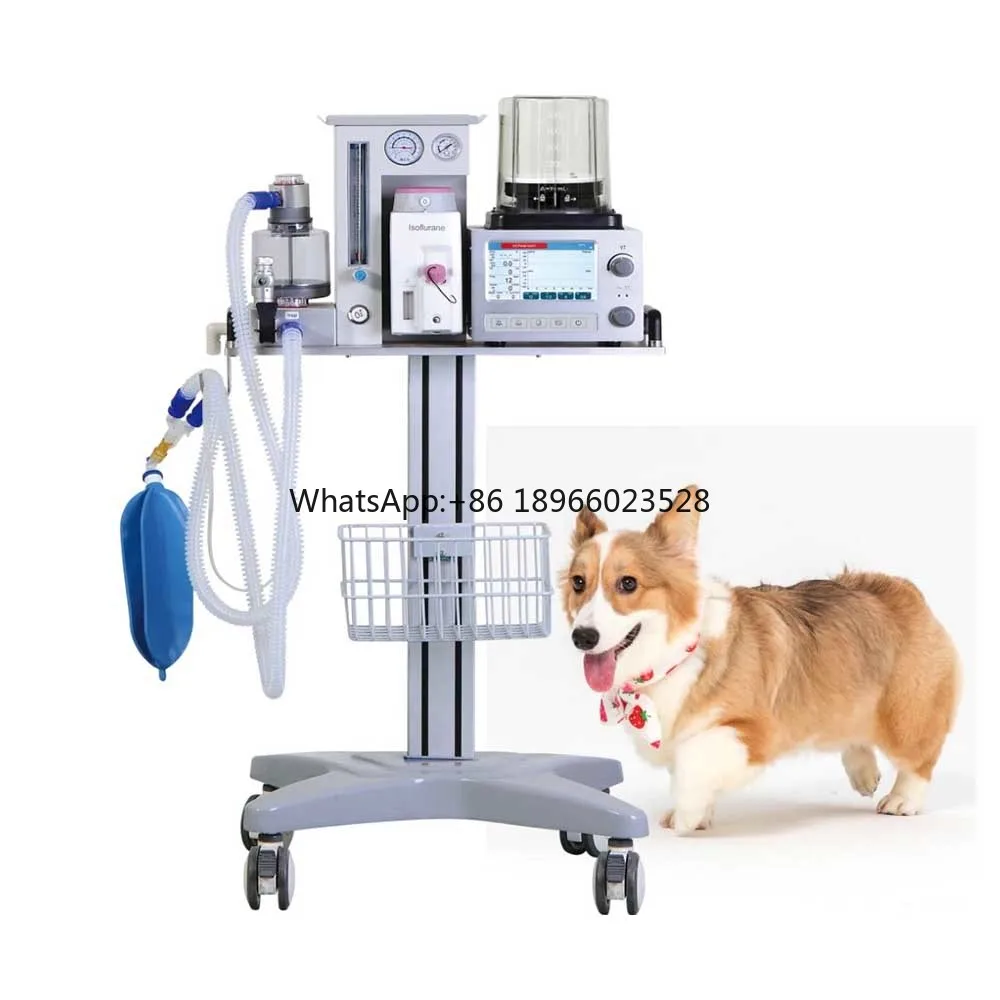 Professional medical pet cat dog Anesthesia System animal anesthesia machine for veterinary use