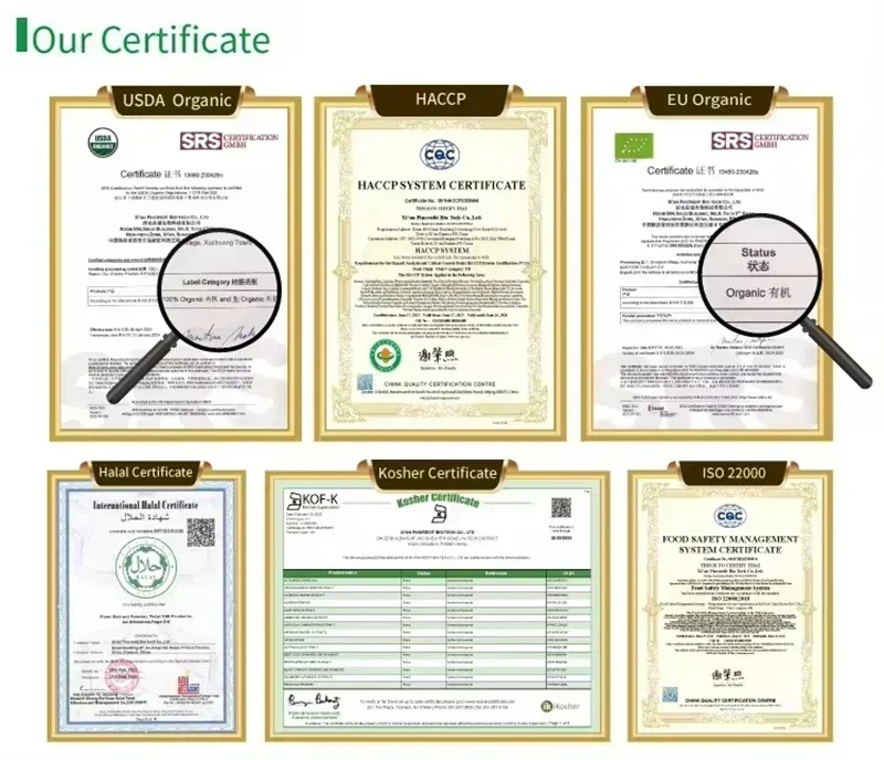 مستحضرات التجميل المنزلية المصنوعة يدويًا 98% FISETIN DIY لتبييض البشرة ومضادة للشيخوخة [أحدث التاريخ]