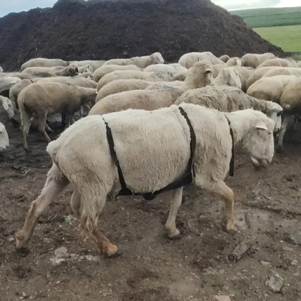 Falda antiacoplamiento con correa ajustable, cuidado agrícola, disipación de calor multietapa, carga sostenible para cría de cabras