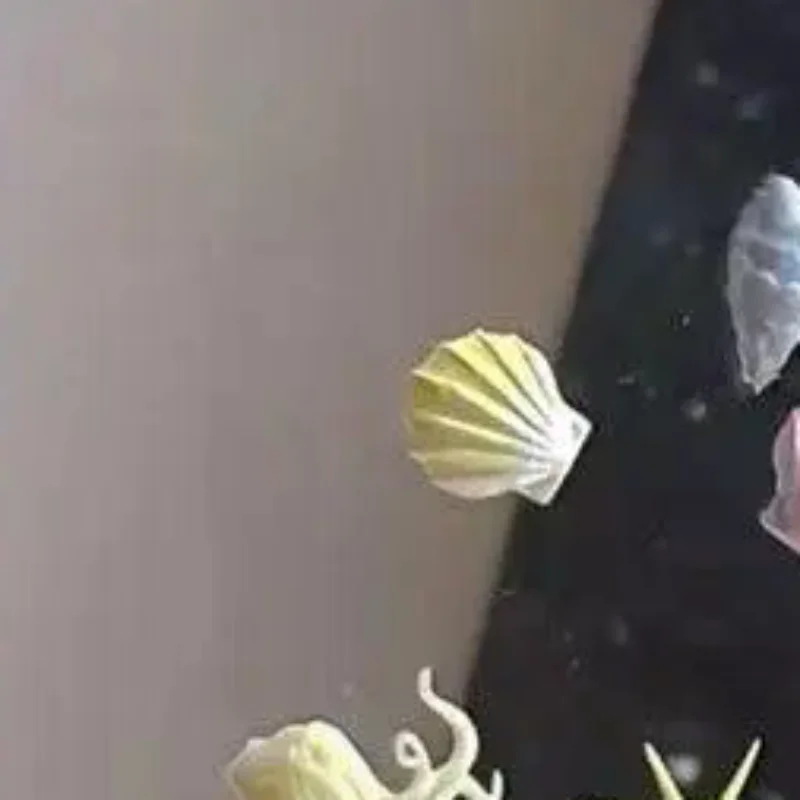 Ocean Series 3D Silicone Nail Mold Mermaid Starfish Shell Nails Art Carving Templates Manicure Design Tool DIY Nail Art Decor