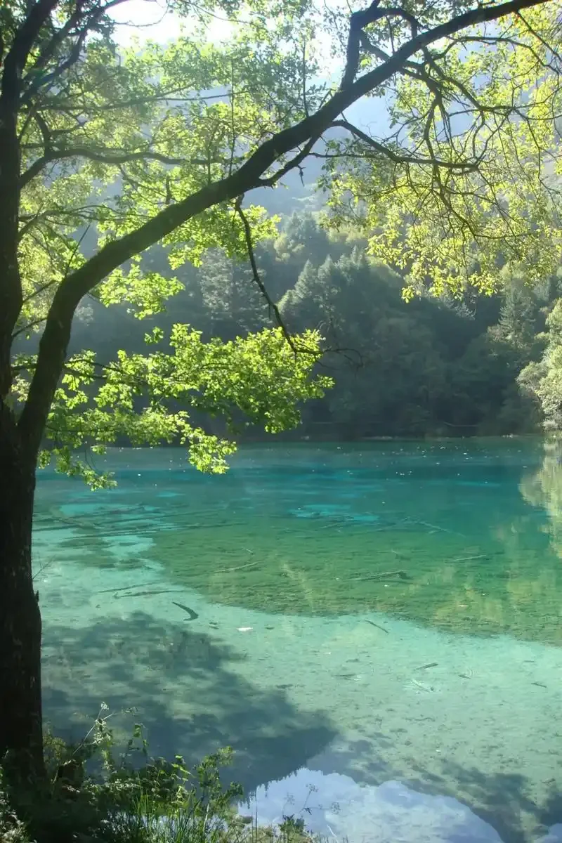 

Smart Glasses Men 8MP Camera WiFi Bluetooth Touch Control IP65 Waterproof AI Translation Noise Cancelling AI Glasses Women