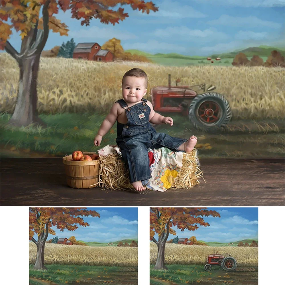 Toile de fond de photographie d'enfant sur le thème de la ferme, fond de fête de 1er anniversaire, champ de blé d'automne, accessoires de peinture à l'huile pour nouveau-né