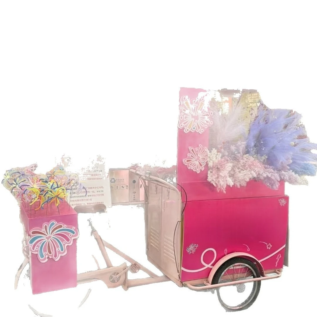 

Настраиваемый уличный мобильный торговый грузовик, мобильный киоск, трехколесный велосипед, обратный грузовик для еды, продвижение продуктов питания, демонстрационный грузовик