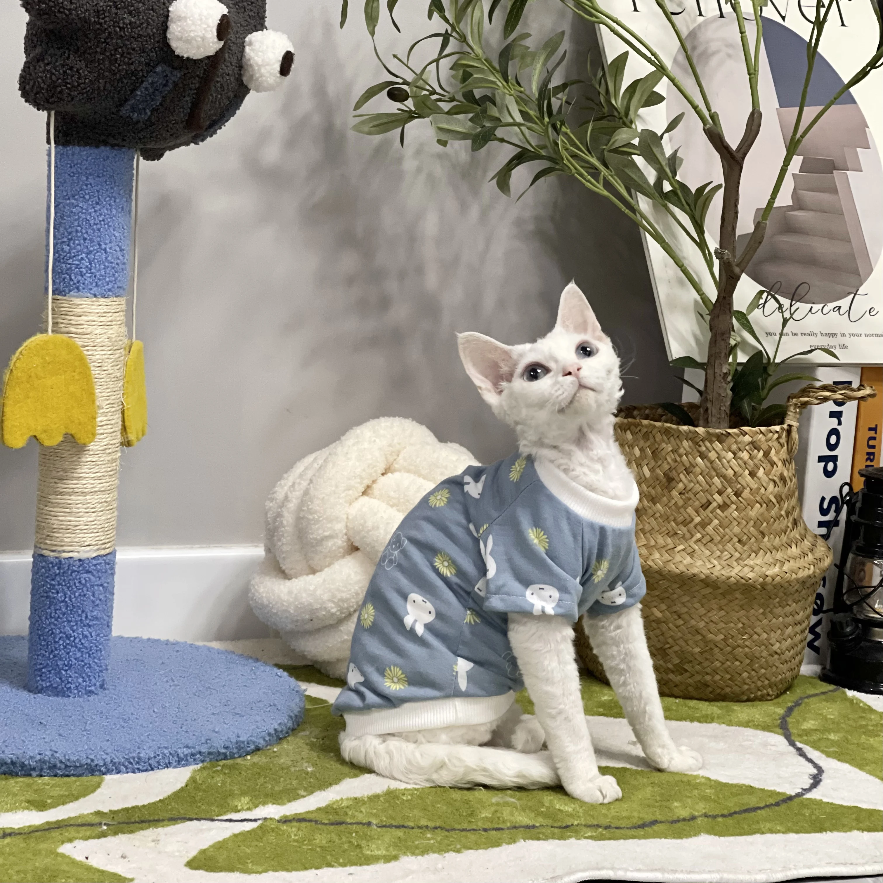 T-Shirt en Coton Bleu Doux à Manches Courtes pour Chat Sphynx, Manteau de Dessin Animé Lapin Mignon pour Devon Rex au Printemps