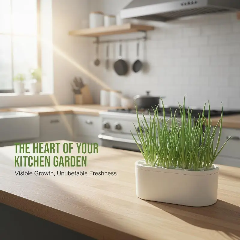 Space-Saving Hydroponic Plant Containers with Water Reservoirs for Compact Urban Gardens