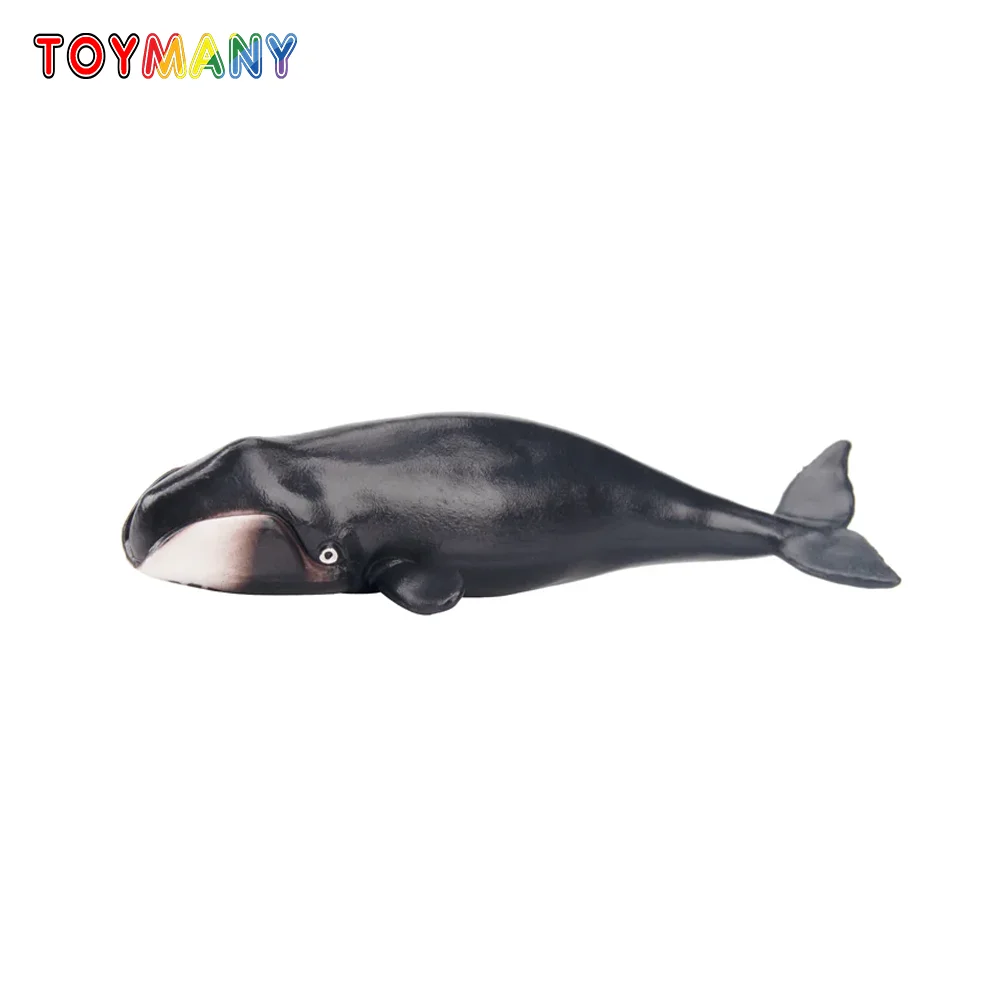 

Toymany Simulation Bowhead Whale Ocean Animal Model Toy Mini Figures Dolls Action Figurines Toys Children Gift Cake Decoration