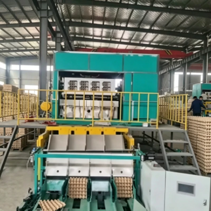 High Performance Egg Tray Making Machine Fully Automatic Complete Line