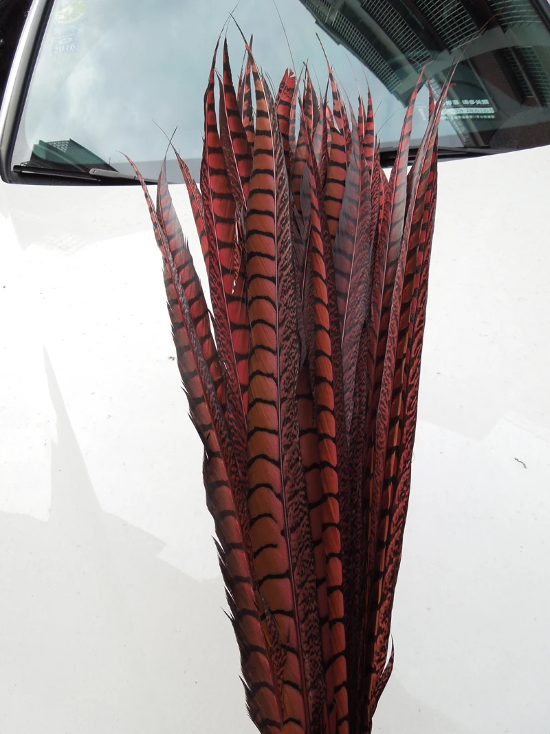 5pcs/lot!70-80cm long Brown Lady Amherst Pheasant Tail Feathers for Costumes decor,Show Girl Costumes,Long Feathers