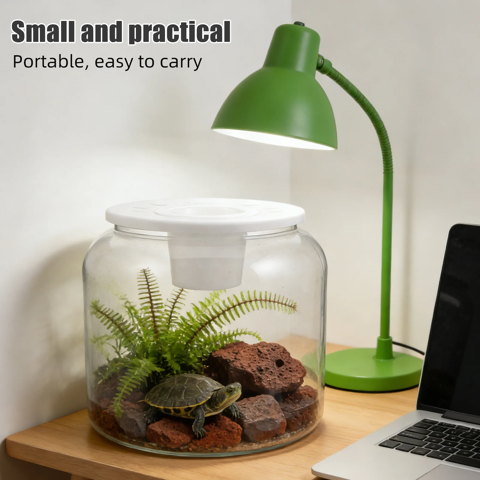 Transparent Tank Clear Round Portable Turtle Terrarium Starter Kit For Reptile Amphibian Pet Observation Desktop