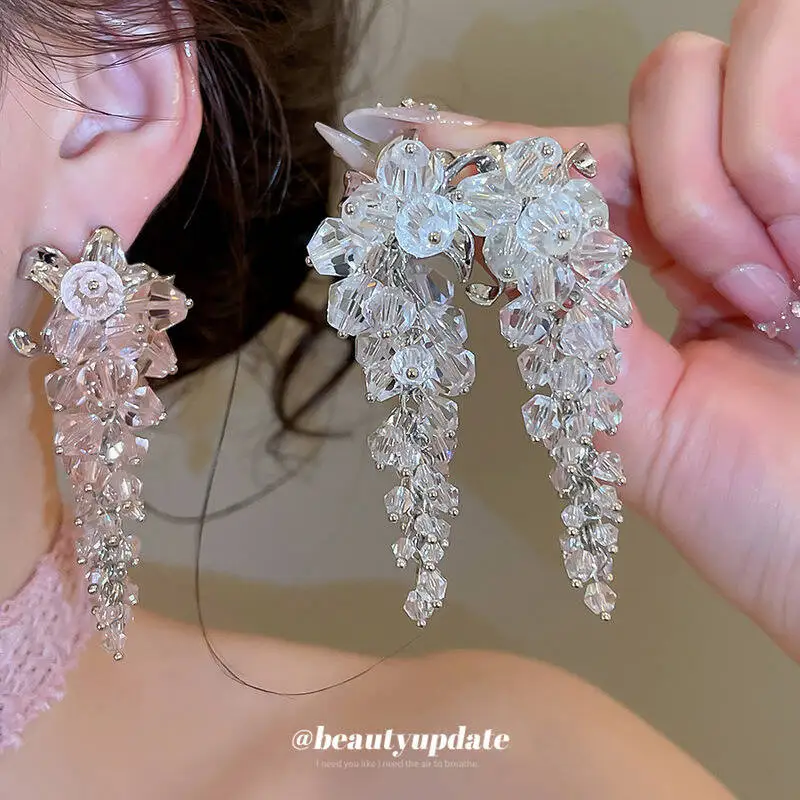 Elegante Silberne Nadelblumen-Kristallperlen-Quasten-Ohrringe im Nischen-Design, High-End, europäisch-amerikanischer leichter Luxus, übertrieben, robust