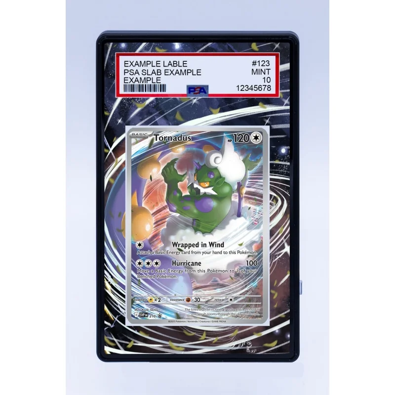 Altaria Arcanine Accelgor TCG Graded Card Slab Acrylic Card Brick Display Stand Gift For Anime Collectors Card Not Included - view 4