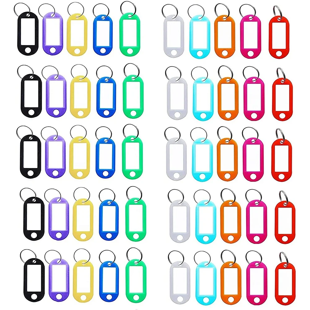 250 Pieces Plastic Key Tags, with Label Window ID Name and Split Ring Key Ring Keychain,10 Colors