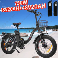 Electric Bike 750W Motor 48V40Ah Dual Battery with Basket Outdoor Travel Mountain Folding Ebike 20*4.0 Fat Tire Electric Bicycle