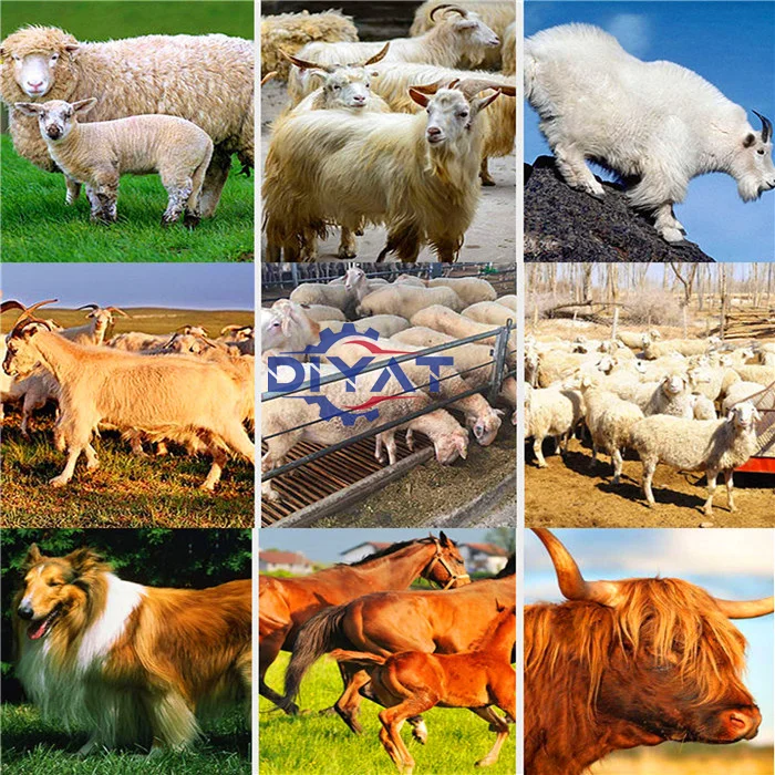 Tagliacapelli per pecore di alta qualità