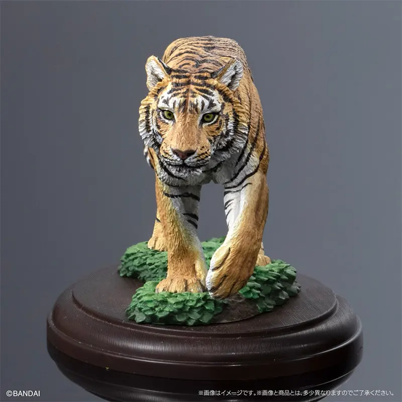 

Коллекционная миниатюрная фигурка Bandai Gashapon: дикие кошки (Бенгальский тигр, Белый тигр, Снежный барс, Паласс-кот) – настольное украшение