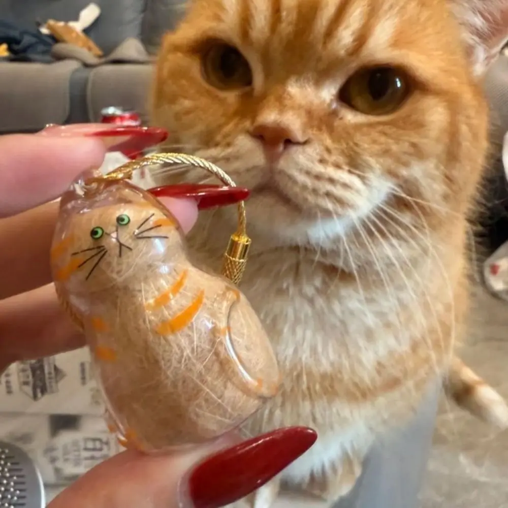 

Creative Cat Fur Storage Pendant Cute Cat Shaped DIY Design Creative Keychain Transparent Container Key Chain Accessories