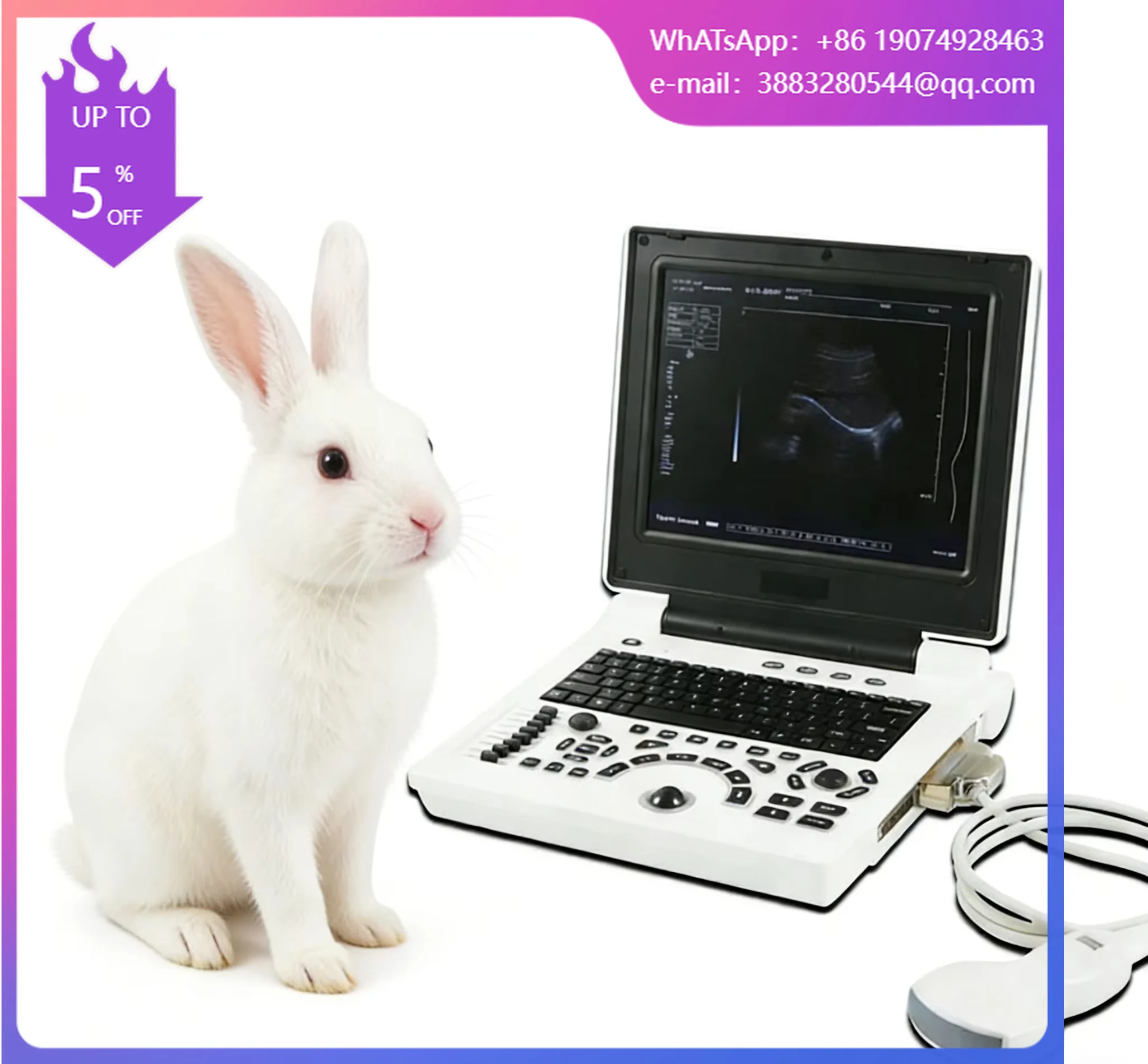 Portable Veterinary Ultrasound Scanner PW Mode Digital Ultrasound Machine With Image System