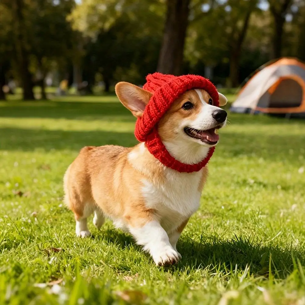 Malteser-Hunde-Beanie-Mütze, gemütlicher weicher Strick mit Ohrenklappen, niedliches verspieltes Hundedesign, für kleine Hunde, Rot und Winter, Innen-/Außengebrauch