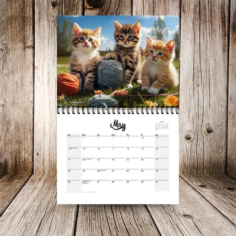 Calendário de parede mensal do gato bonito, planejador familiar Hangable, organizador diário, adorável calendário do gato, 21X28cm, 2025