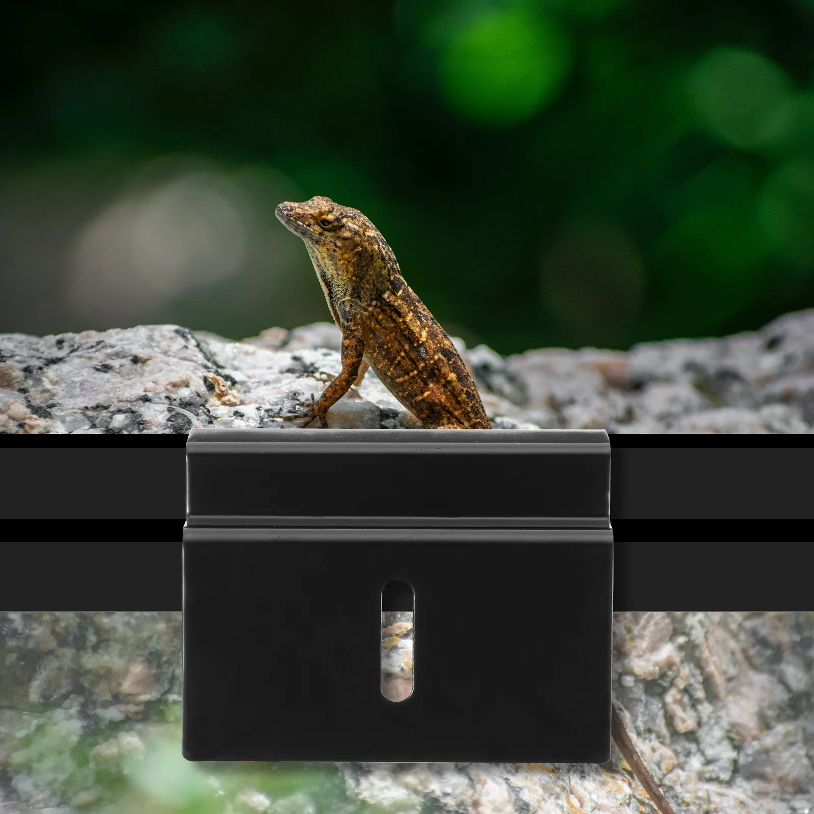 

1Pcs Reptile Tank Hook Premium Turtle Feeding Box Holder Hanging Hook Glass Breeding Tank Accessory Light Bracket