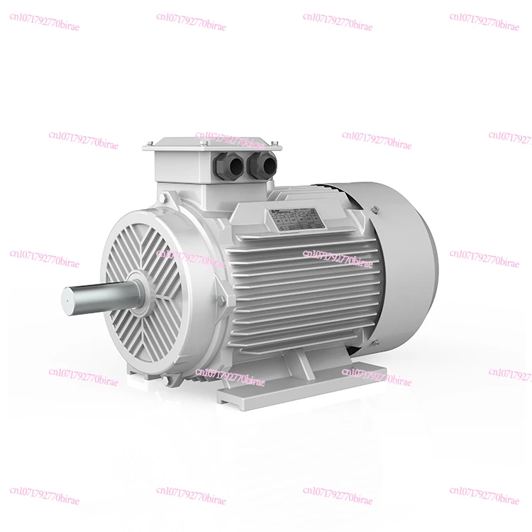 

TYK-100L-3-30 TYK-90L-3-30 3kw 4hp Ac Synchronous Forced Air Cooling Synchronous Permanent Magnet Split Motor