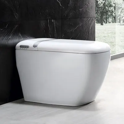 Remote Control Automatic Sensor Flushing Electric One Piece Tankless Japanese Smart Toilet