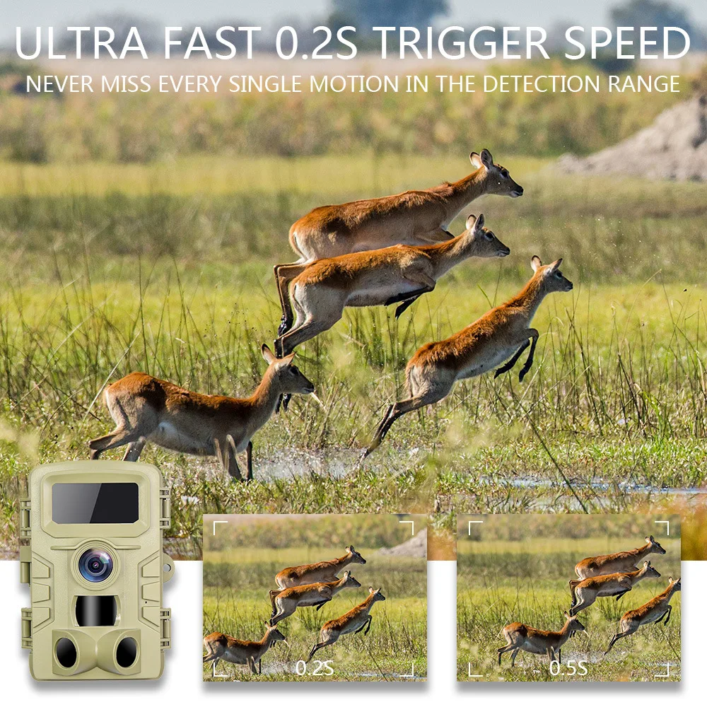 Outdoor 48MP 1080P Hunting Wild Trail Camera Photo Traps 0.2s Trigger Time Camera Trap Wild  Scouting Surveillance Cameras