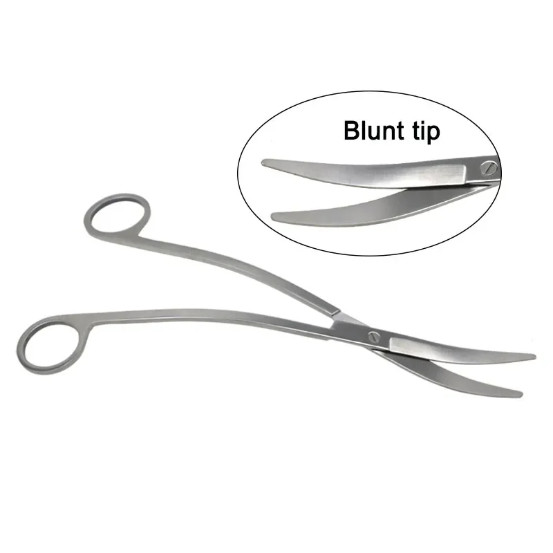 

GREATLH Nose Tissue Septum Scissors Nasal Surgery Scissors for Cutting Stainless Steel Rhinoplastic Nasal Plastic Tool