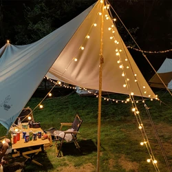 USB/Battery Powered Cherry Balls LED Fairy Lights String Wedding Party Camping Tent Outdoor Garland Holiday Christmas Decoration